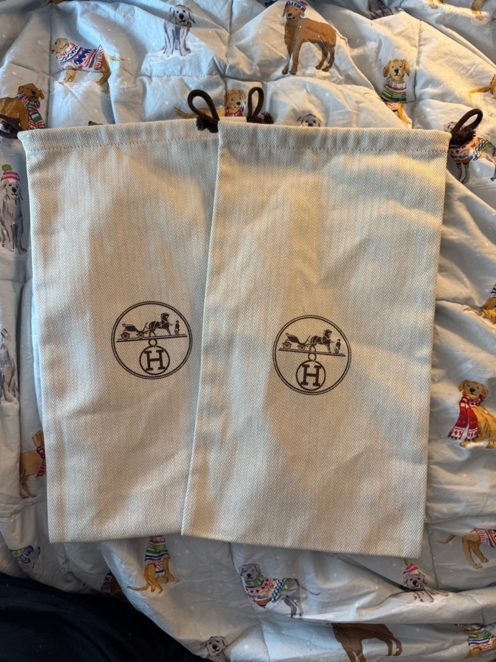 Hermes storage bags pair